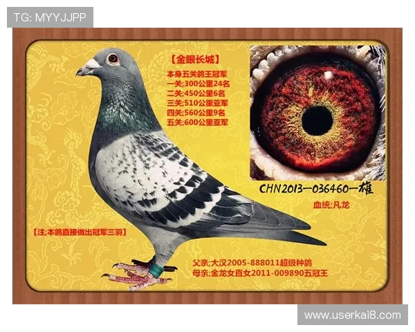 ag中国官方网站最新版本下载及详细使用指南 ag中国官方网站最新版本下载及详细使用指南